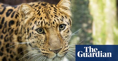 In Pictures Week In Wildlife Environment The Guardian