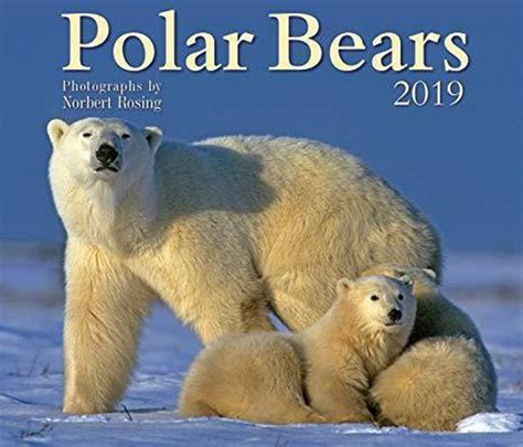 Polar Bears 2019 Calendar