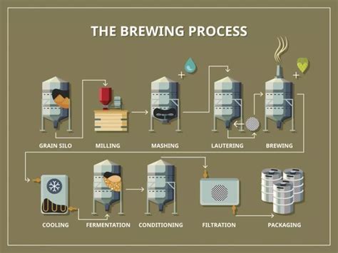 Understand The Brewing Process Zoedale Blog Beer Brewing Process