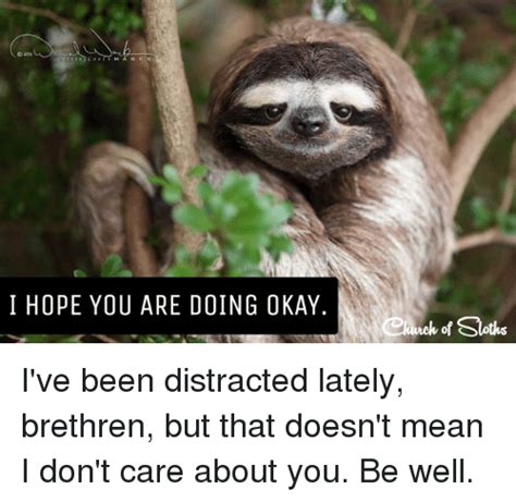 Hope you are well has been found in 673 phrases from 652 titles. I HOPE YOU ARE DOING OKAY of Sloths I've Been Distracted ...