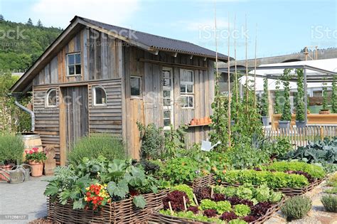 She doubled the vegetable harvest by doing this one thing | summer garden tour. A Small House Made Of Wood With A Vegetable Garden Stock ...