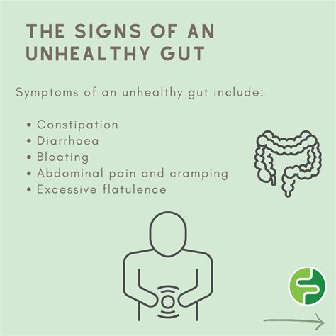 What Are The Symptoms Of An Unhealthy Gut Synogut Usa Official Website
