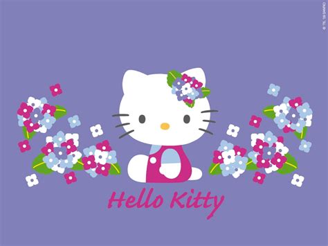 Nerd Hello Kitty Face Wallpaper