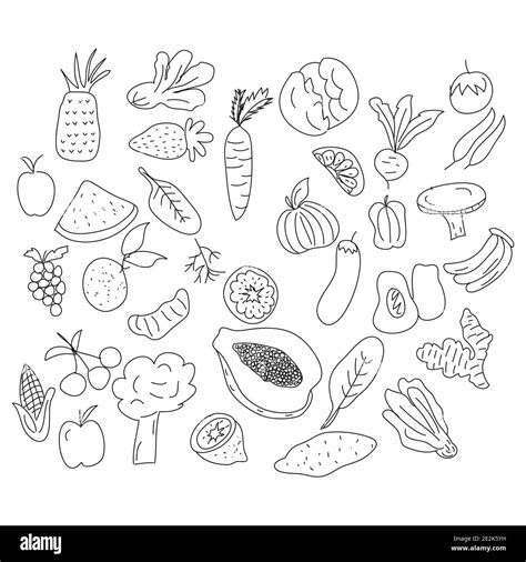 Fruits And Vegetables Doodle Set Hand Drawn Vector Illustration Stock