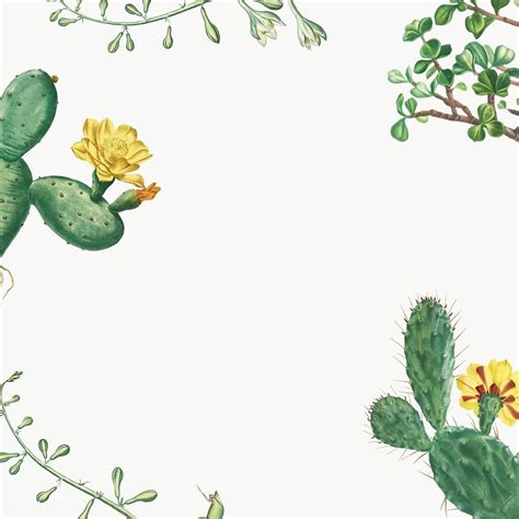 Download Premium Png Of Hand Drawn Cactus And Succulent Frame 2365118