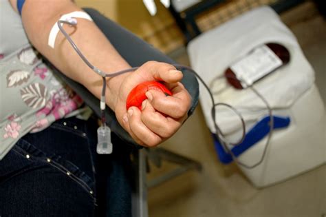 Governo Francês Muda Regras Para Doação De Sangue De Homossexuais