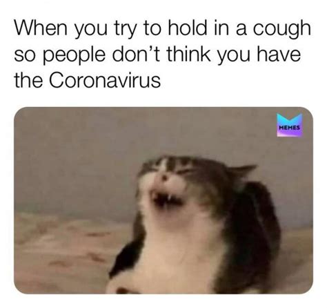 Funniest Coronavirus Memes All Over Social Media Boomsbeat