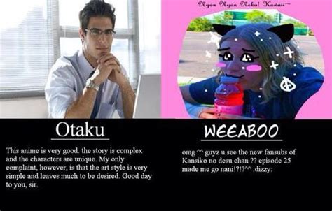 The Weeaboo Checklist What Is A Weeaboo