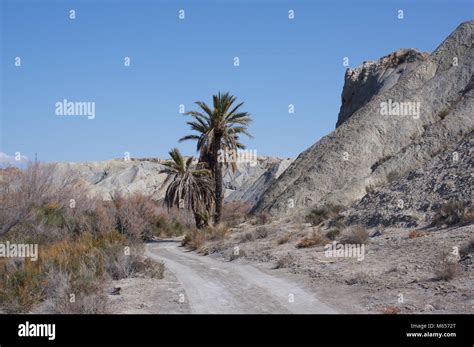 Views Of Tabernas Desert Wilderness Areas Almeria Spain Stock Photo Alamy