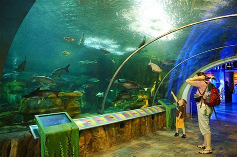 Get complete information including history, pictures, best time to visit, recommended hours, address nestled on the top of a hill covering eight hectares of landscaped grounds at bukit kiara is pusat sains negara or national science centre. Pusat Sains Negara Kuala Lumpur |MyRokan