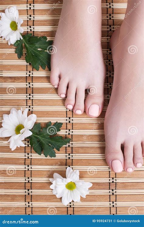 Perfect Nude Pedicure On Toes Stock Image Image Of Chamomile Female