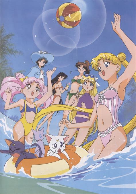 Tsukino Usagi Mizuno Ami Aino Minako Chibi Usa Hino Rei And 4 More Bishoujo Senshi Sailor