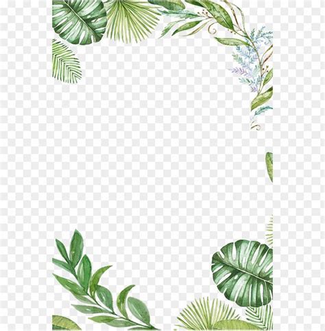 Tropical Leaves Frame Png Image With Transparent Background Png Free