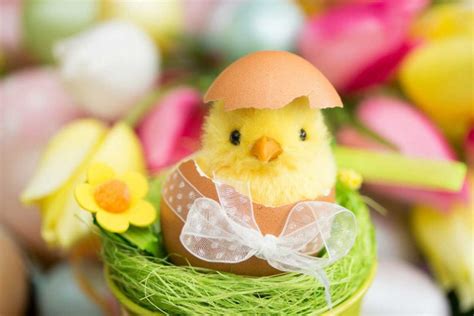 Ostern bietet einen vorgeschmack auf kommende frühlingsfeste, maifeiern oder sommerpartys. Ostergrüße Text: So finden Sie die richtigen Worte