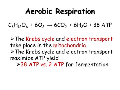 There are two distinct forms wherein either ethanol or lactic acid are produced as byproducts. Cellular Respiration - Presentation Biology