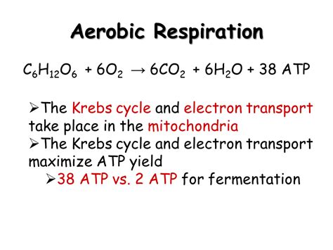 It is the process by which cells convert adp (adenosine diphoosphate) into atp (adenosine. Cellular Respiration - Presentation Biology