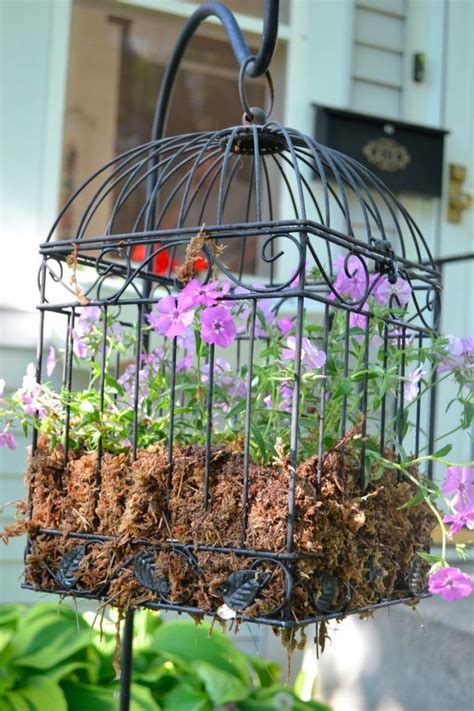 Top 20 Surprisingly Genius Ideas To Repurpose Birdcages Into Planters