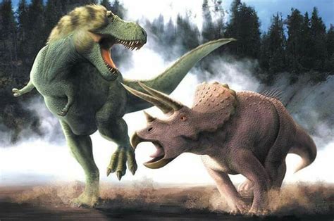 T Rex Vs Triceratops Art By Christopher Srnka Animales