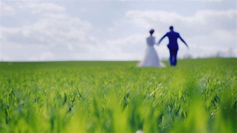Blurred Silhouettes Of The Newlyweds Go Away Stock Footage Videohive