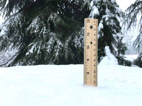 Snow How Best To Measure Snowfall Totals