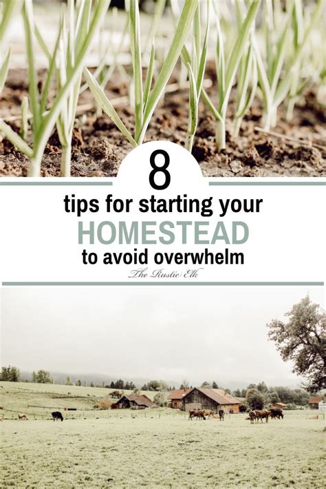 8 Tips To Start Your Homestead Garden Ideas