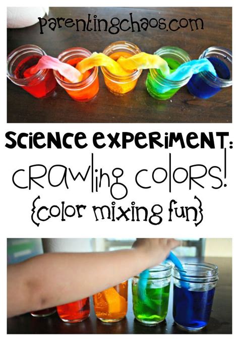 Crawling Colors A Fun Science Experiment In Color Mixing