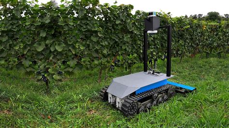 Autonomous Robot Mows Grass Between The Vineyard Robotech Vision