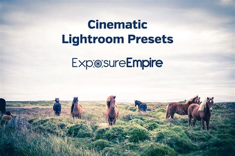 .color presets for color grading • 12 categories of video styles: Cinematic Lightroom Presets - Exposure Empire
