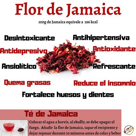 Top Beneficios De La Flor Jamaica Anmb Mx