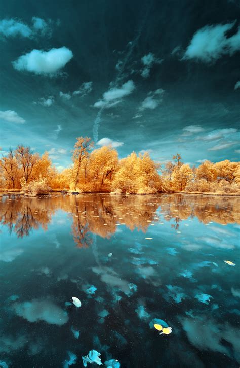 turquoise reflections (с изображениями) | Инфракрасная ...