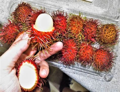 Vegans Living Off The Land Trying Hairy Ball Fruit For The First Time Garden Harvest