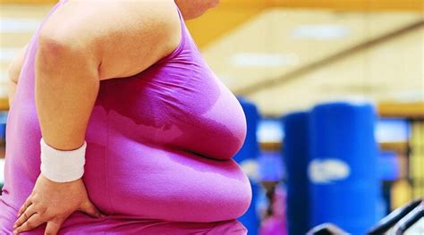 Maternal High Fat Sugar Intake May Affect Foetus Growth Lifestyle