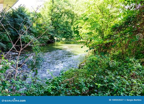 Fast Flowing River In Lush Green Woodland Stock Image Image Of
