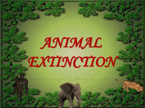 Animal Extinction