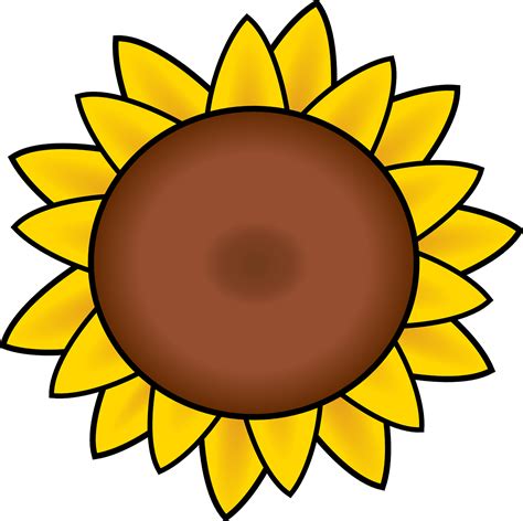 Free Image on Pixabay - Sunflower, Petals, Drawing, Summer | Rainbow cartoon, Art, Sunflower ...