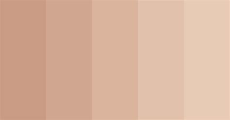 Skin Gradient Color Scheme Brown