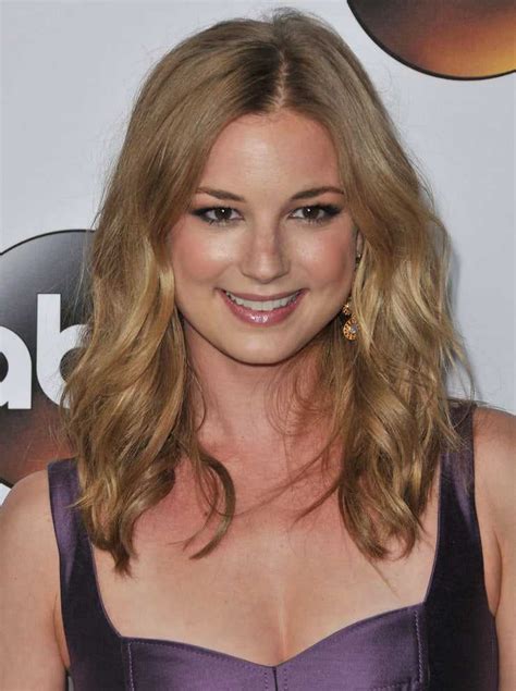 Nude Pictures Of Emily Vancamp Which Will Make You Swelter All Over