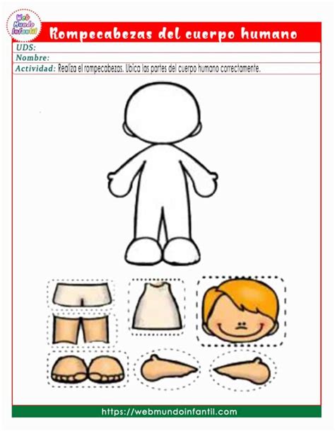 Rompecabezas Del Cuerpo Humano Para Niños De Preescolar