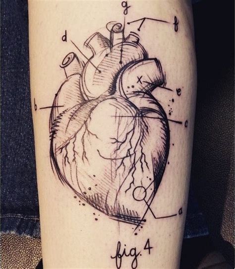 Anatomical Heart Tattoo Anatomical Heart Tattoo Anatomical Tattoos