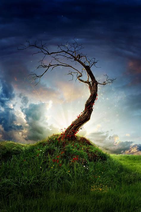 30 Beautiful Tree Photo Manipulations | Web & Graphic Design | Bashooka