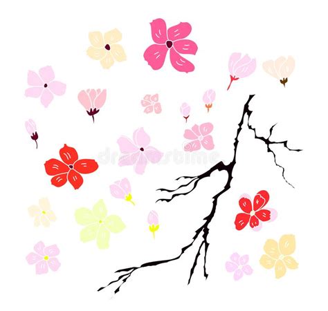 Peony Flower With Sakura Blossomjapanese Flower Cherry Blossom Stock
