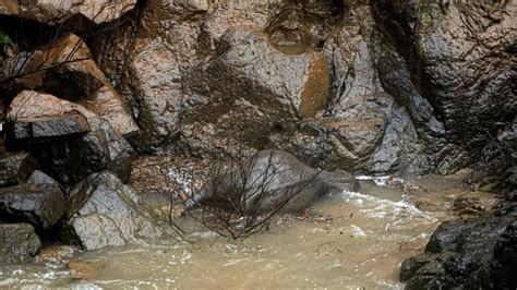 6 Gajah Mati Usai Jatuh Ke Air Terjun Di Taman Nasional Thailand