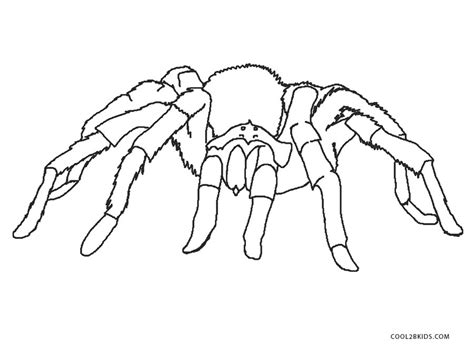 Even if the verbal means are afterward important, the non. Free Printable Spider Coloring Pages For Kids | Cool2bKids