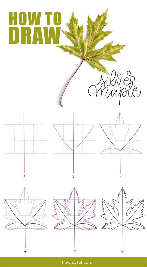 Learn How To Draw A Leaf Step By Step In This Tutorial Where We Will Go