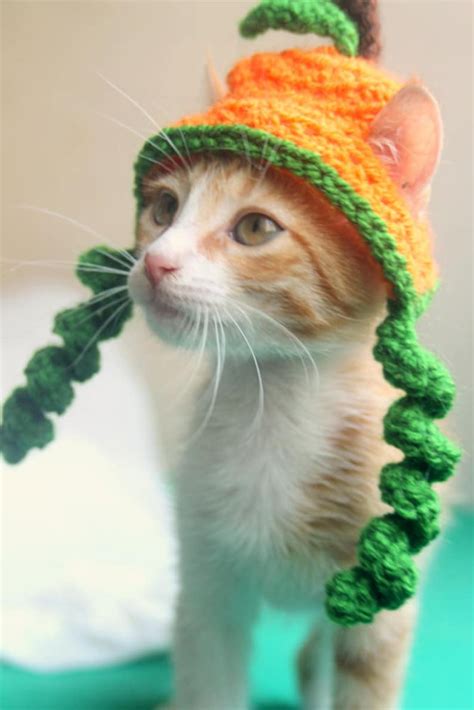 Pumpkin Cat Hat Thanksgiving Cat Hat Fall Hat For Cats Etsy