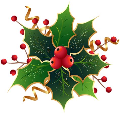 Holly Christmas Png Datei Png All