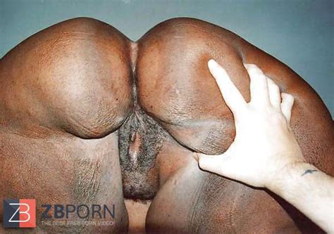 Bbw Ssbbw Afrikanischer Pornos Whittleonline
