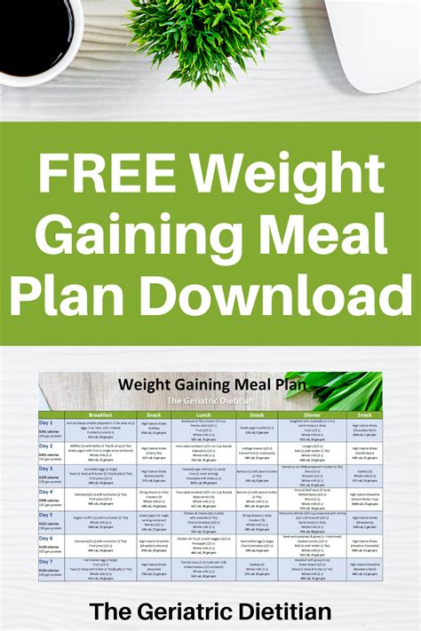 Weight Gain Meal Plan Recipes Best Home Design Ideas