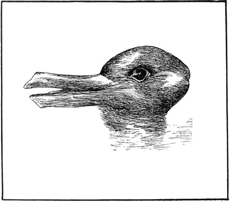 Jastrow Duck Rabbit 1899 Optical Illusions Pictures Optical