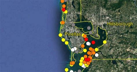 Red Tide Conditions Improving Along Pinellas Countys Beaches